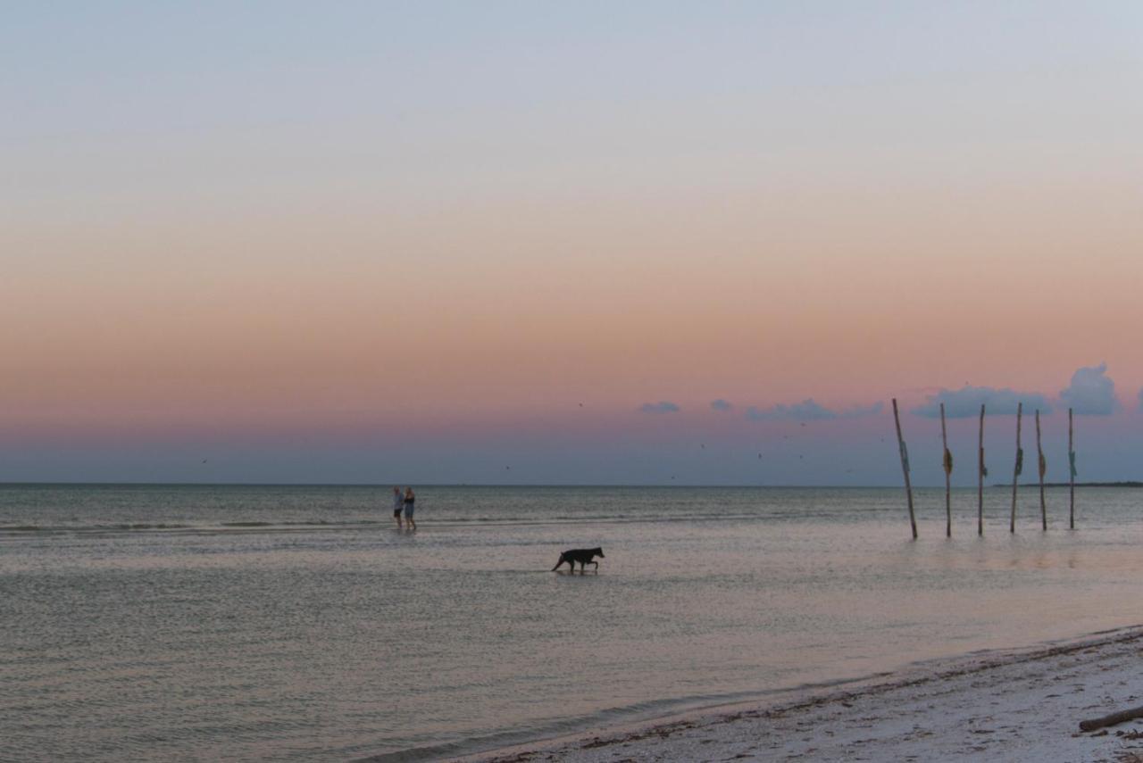 Blue Holbox Hotel Exterior foto